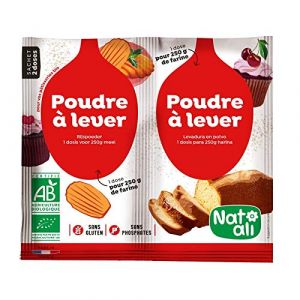 POUDRE A LEVER S/GLUTEN 2X7G (ETIKBIO, neuf)