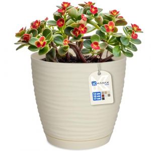 KADAX Pot de Fleurs en Plastique avec Soucoupe, Cache-Pot Moderne Ornée d'un Élégant Motif Ondulé pour Une Décoration Florale (Ronde, Crème, 17 cm) (KADAX, neuf)