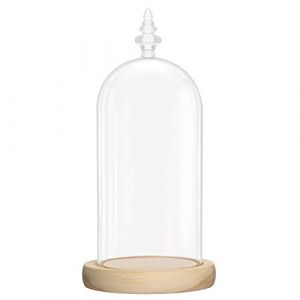Belle Vous Cloche en Verre avec Socle en Bois Naturel - 26,5 cm - Cloche en Verre Décorative Transparente avec Plateau en Bois pour Lumières, Décorations de Table, Antiquités (Tinyyo Europe, neuf)