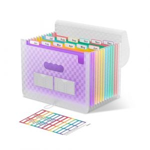 ThinkTex Trieur A4, 12 Pochettes Rangement Papier Administratif/Classeur avec Intercalaire, Classeur Documents Chemises, Support de Rangement pour Bureau avec Couvercle - Violet (ThinkTex EU, neuf)