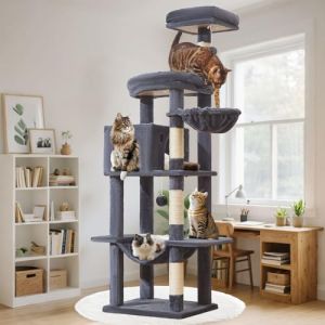 Taoqimiao Arbre a Chat Maine Coon,168cm Stable Arbres &agrave; Chat Grand Format XXL avec Condos Spacieux pour Chats, 4 Griffers, Tr&egrave;s Grand Plateformes, Hamac, Panier pour Matou, MS042G Gris Fum&eacute;e (AICHONGTECH, neuf)