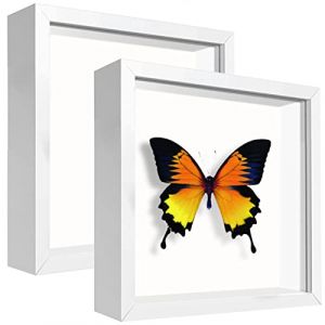 sunmeg 2Pcs Cadre 3D Profond 14 x 14 cm Cadre Photo Vitrine 3D Cadre Bo&icirc;te en Bois Cadre d'Objet Carr&eacute;e Pour M&eacute;dailles, Billets, Fleurs, Souvenirs, Diamond Painting (Gying-EU, neuf)