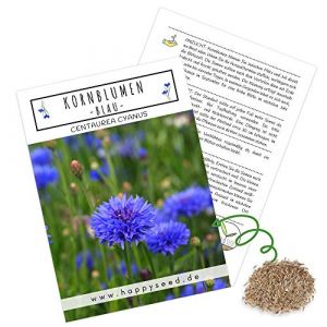 Graines de bleuets (Centaurea cyanus), belles fleurs lumineuses avec une longue période de floraison pour une prairie fleurie colorée (bleu, grain 1000, 80 cm) (Vendix-Shop, neuf)