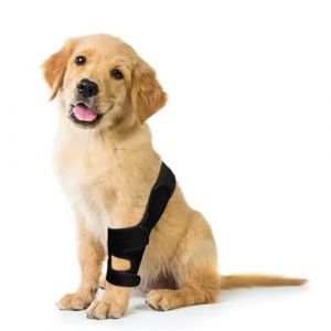 XTrador Bandage articulaire pour chien pour pattes avant et arrière - Protection contre les fuites et soutien postopératoire - Aide en cas d'instabilité articulaire (s) (RaKo-Trading, neuf)
