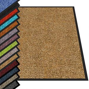 casa pura - Tapis Entrée Intérieur Rhine - Tapis Antidérapant et Anti-salissures - Paillasson de propreté Interieur et extérieur - Tapis de Porte Lavable et Ultra Absorbant (Beige 200x400 cm) (Velvet Trading, neuf)