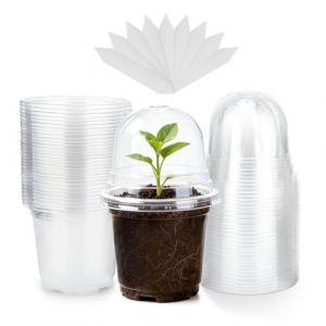 KINGLAKE 10CM Pot pour Semis, 12 Pieces Pot de Fleurs en Plastique, Godet de Culture Rempotage, avec Couvercle Transparent et 10X &eacute;tiquettes de Plantes, Godet Repiquage Plantation - Transparent (JH Gardening, neuf)