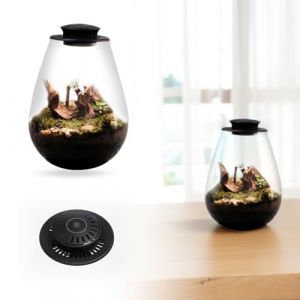 Fiorky Lampe de culture LED, foug&egrave;re mousse micro-paysage avec minuterie, lampe de croissance de plantes, 6 500 K, terrarium en verre, lampe de culture pour plantes d'int&eacute;rieur, plantes (Pingjia Ltd, neuf)