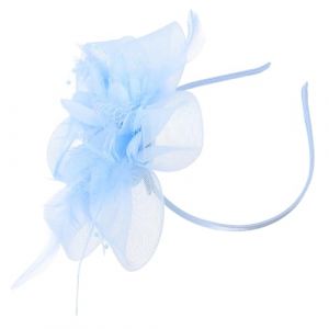 ELAYARD Fascinator Vintage Femme avec Voile &Eacute;l&eacute;gant et Plume Pince &agrave; Cheveux Mariage et C&eacute;r&eacute;monie T&ecirc;te Chic pour F&ecirc;te et C&eacute;r&eacute;monie (Heyyii, neuf)