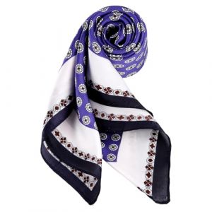 DAMILY Foulards Masculin Bandana Carré Doux Paisley Foulard en Soie Écharpe Attacher Lisse Banquet Ascot Costume Mouchoir (Bleu Royal) (Dancer Kisses, neuf)
