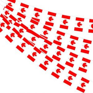 AhfuLife 10M Guirlande Drapeau Canada, 2Pcs Banderole Drapeau Canadien, 30 Petit Drapeaux du Canada pour Decor F&ecirc;te de Nationale Jour du Souvenir Coupe du Monde Stade Bar Jardin (echoapple, neuf)