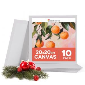 Zenacolor Toile Peinture 20x20cm (Lot de 10) - Toile a Peindre 280 g/m&sup2; 100% Coton - Pour Peinture Acrylique, &agrave; l'huile, Gouache (BMS France, neuf)