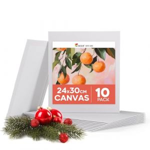 Zenacolor Toile Peinture 24x30cm (Lot de 10) - Toile a Peindre 280 g/m&sup2; 100% Coton - Pour Peinture Acrylique, &agrave; l'huile, Gouache (BMS France, neuf)