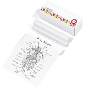 Phomemo Papier A4 pour Imprimante Thermique Portable M832/M831/M833/M834/M835 - Ramette 210mm*6.5m Sans Encre Bluetooth - 4 Rouleaux Blanc (Goknu-FR, neuf)