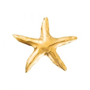 Broche &Eacute;toile De Mer Pour Femme Or Plaqu&eacute; Acier Inoxydable Accessoire &Eacute;l&eacute;gant Pour Robe Manteau Ou Veste Cadeau Anniversaire Style Marin Plage Bijou Mode F&ecirc;te De C&eacute;r&eacute;monie (Dor&eacute;) (kokomao, neuf)