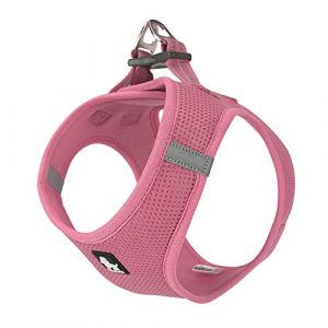 TRUE LOVE Harnais pour Chien Soft Air Mesh Gilet réfléchissant réglable pour Animaux de Compagnie pour Petites et Moyennes Races (S, Rose) (Truelove Pet Garment and Shoes Co.Ltd., neuf)