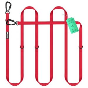 BLUZELLE Laisse Chien 3m Imperméable, Longe Biothane PVC Ajustable Réglable, Laisse Double pour 2 Chiens Laisse Mains Libres, 2X Grand Mousqueton 360° en Aluminium Extra Solide, Couleur:Rouge (BF-Commerce GmbH, neuf)