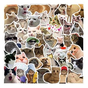 50 PCS Expression de chat Stickers, Autocollants Vinyle Graffiti Stickers pour Ordinateur Portable Voiture Planche À roulettes Moto Vélo Bagages Pare-Chocs expression de chat Autocollant (yujiandeouzhoudianpu, neuf)