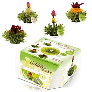 Creano Variation de fleurs de thé dans le format de tasse exclusif - 8 fleurs de thé en 4 variétés différentes (thé vert) (Creano, neuf)