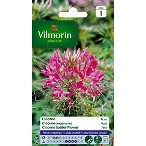 Vilmorin 5232641 Fleur Rose 9 x 0,5 x 16 cm (graines passion, neuf)