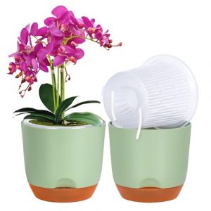 QCQHDU Lot de 2 pots à orchidée avec trous pour rempotage double couche et auto-irrigation avec bonne circulation de l'air (vert, 14,5 cm) (ONOME, neuf)