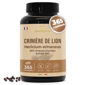 Bandini® Crinière de Lion 2000 mg | 365 Comprimés pour 1 An (1 comprimé par jour) | Extrait 25:1 de Lion's Mane Mushroom avec Poivre Noir | 50% polyphénols | Champignon Hericium Erinaceus 100% Vegan (Bandini Pharma, neuf)
