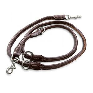 Jack & Russell Laisse en Cuir Dexter 2,0m - Chien Avec Mousqueton en Laiton - Réglable Multiple (Marron) (Trachtenhütte, neuf)