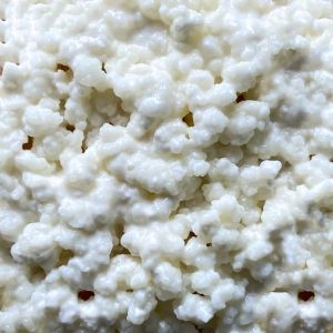 BIO - Grains de kéfir de lait - Frais - Réutilisables - Fabriqué en France - Notice incluse (Orisae, neuf)