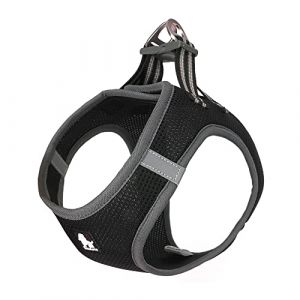 TRUE LOVE Harnais pour Chien Soft Air Mesh Gilet réfléchissant réglable pour Animaux de Compagnie pour Petites et Moyennes Races (L, Noir) (Truelove Pet Garment and Shoes Co.Ltd., neuf)