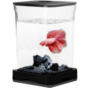 Petit kit de d&eacute;marrage pour Poissons Betta avec Lampe LED rectangulaire pour d&eacute;coration de Table,Betta Fish Tank &ndash; Table d'aquarium | Nano r&eacute;servoir de Combattant, Blanc, avec Filtre int&eacute;gr&eacute; (hefeisulianbaihuodian, neuf)