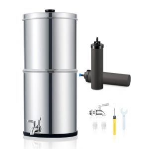 CO-Z 8,5L Système de Filtration d'Eau par Gravité en Acier Inoxydable 304 Purificateur d'Eau avec 2 Filtres à Carbone Robinet d'Eau Inclus, Certification NSF/ANSI 42 (BFTang, neuf)