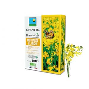 BARENBRUG - Moutarde blanche BIO - Am&eacute;liore Disponibilit&eacute; &Eacute;l&eacute;ments Nutritifs et Restitue aux Futures Cultures - D&eacute;sinfecte Sol - Id&eacute;al avant Haricots, Pois, Salades - Fabriqu&eacute; en France - 500G (Barenbrug, neuf)