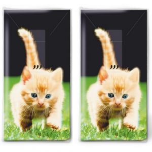 Lot de 20 mouchoirs individuels avec motifs d'animaux en avant. Lot de 2 paquets de 10 mouchoirs individuels en papier imprimés. (Malagro Versandhandel - Expédition depuis l'Allema, neuf)
