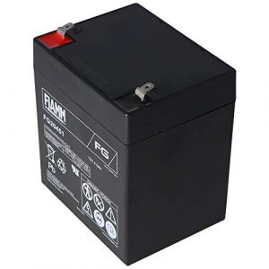 FIAMM Batterie au plomb rechargeable FG20451 (AkkuShop Deutschland, neuf)