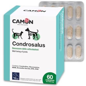 CAMON | Condrosalus Comprim&eacute;s, Aliment Compl&eacute;mentaire pour Chiens et Chats pour Le Bien-&ecirc;tre des Articulations, Pr&eacute;vient Les Ph&eacute;nom&egrave;nes Arthroses, 60 CPR (Lo Shop di Camilla, neuf)