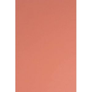 Netuno 100x papier cartonné flamant rose A4 210x297mm 210g Sirio Color Flamingo papier épais de couleur pour tickets anniversaire mariage invitations bricolage Noël brochures cartes de menu (netuno, neuf)