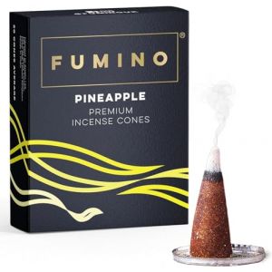 Fumino Cônes Encens Naturel Parfum Ananas - 20 Cônes Encens Frais Masala Agarbatti Joss Smoke - Fragrances pour Relaxation, Méditation, Détente et Décoration Intérieure (Inbound To Anglia Ltd, neuf)