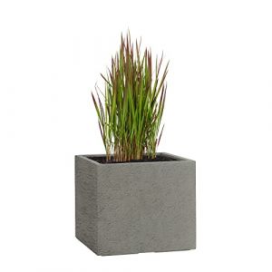 Pflanzwerk® Pot de Fleur Fibre de Verre Cube Jardinière Lava Gris 30x34x34cm XXL *Résistant au Gel* *Protection UV* *Qualité européenne* (Pflanzwerk Deutschland GmbH, neuf)