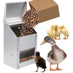 BREUAILY 4,5 Kg Mangeoire Poule en Metal Mangeoire Poule Automatique avec Couvercle Mangeoire Murale Distributeur Automatique de Nourriture pour Poules Canards Volailles (Yuecheng Store, neuf)