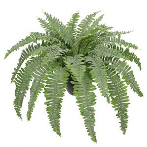 Hollyone Grande foug&egrave;re artificielle Boston - 88 cm - Buissons de foug&egrave;re artificielle vert givr&eacute; en pot noir - Plantes de foug&egrave;re artificielle pour l'int&eacute;rieur et l'ext&eacute;rieur - Pour la maison, le (CHARM's, neuf)