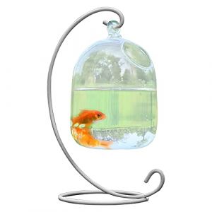Petit Aquarium &agrave; Suspendre au Bureau, Mini Aquarium avec Support, Bol &agrave; Poisson Betta en Verre Transparent, Bol &agrave; Poisson Cylindrique pour Poissons, Fleurs(#2) (welcome chaozhang, neuf)