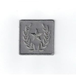 Patch Ecusson Thermocollant Etoile Lauriers Coloris Gris 3 x 3 cm (Filou Face, neuf)