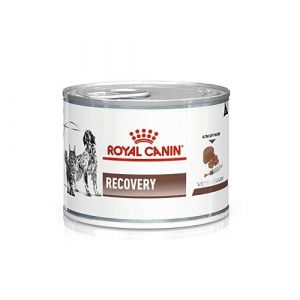 Royal Canin Veterinary Recovery | 12 x 195 g | Aliment Complet diététique pour Chiens et Chats Adultes | Mousse Ultra Douce à Haute teneur en protéines (FeedMyAnimal, neuf)