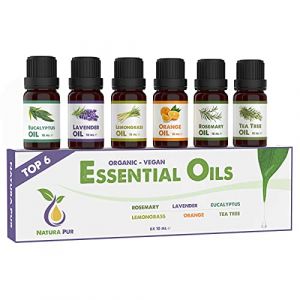 Coffret Huiles Essentielles BIO - 6 x 10ml - 100% naturelles, pour diffuseur et aromathérapie (romarin, lavande, eucalyptus, citronnelle, orange, tea tree) (#Brothers, neuf)