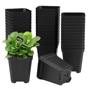 WhizNook 100 Pi&egrave;ces Pot de P&eacute;pini&egrave;re 5cm, Godet Semis Carr&eacute;s en Plastique, Petits Pot pour Semis avec des Trous dans Le Fond, pour Diverses Plantes, Fleurs, Semis, Boutures, Greffes (Noir) (XXBXEU, neuf)