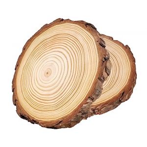 Rondin de Bois 18-20cm,ilauke 2 Tranches de Bois Naturel Sans Trou,2mm Épaisseur Disques en Bois Non Finis,Cercles en Bois pour Travaux Manuel,Loisirs Créatifs,Marque Place Mariage,Décorations de Noël (MiGE shop, neuf)