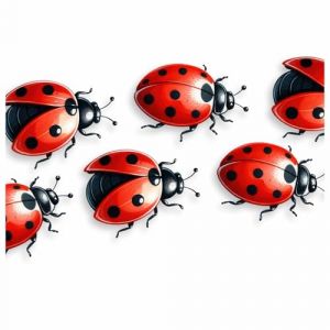 Lot de 8 autocollants en vinyle r&eacute;alistes en forme de coccinelle, couvrent les marques, multi-usages, id&eacute;al pour t&eacute;l&eacute;phone, tasses, carrelage, toilettes, voiture, ordinateur portable, verre, mur et (LaoGraphics, neuf)