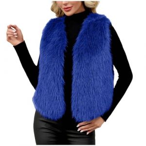 AEGJEGVD Gile Femme Fausse Fourrure sans Manches Cardigan Imitation Fourrure Manteau Gilet Femmes Hiver Veste sans Manche Grand Taille Manteau en Fausse Automne Hiver Chaude en Peluche (⭐⭐⭐⭐⭐AEGJEGVD⭐⭐⭐⭐⭐, neuf)