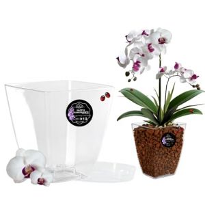 LiveLaif&reg; - Pot d'orchid&eacute;e transparent rectangulaire 14 x 14 x 15 cm + soucoupe | Pot transparent orchid&eacute;e | Trous de drainage, effet verre | Pot pour orchid&eacute;es, fabriqu&eacute; en Espagne-Plusieurs mod&egrave;les (LiveLaif, neuf)