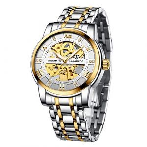aswan watch Montre Automatique Homme-Cadran Squelette avec Chiffres Romains et Diamant-Montres Mécanique avec Bracelet en Acier Inoxydable (zsfei, neuf)