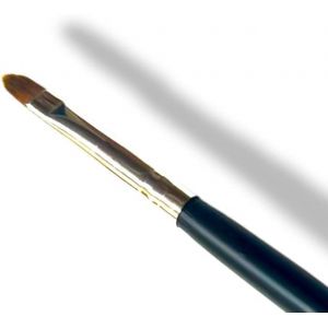ProTech Lot de 2 pinceaux de teinture professionnels pour cils et sourcils (Vertical9 Limited, neuf)